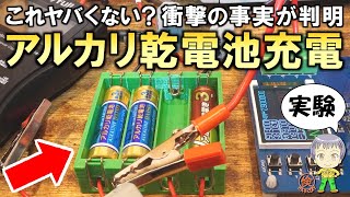 衝撃の事実が判明！アルカリ乾電池の充電実験をご紹介します！ [upl. by Anairotciv725]