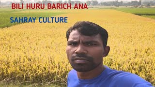 Sahray and Culture videosHuru ko BILI chaba Ana [upl. by Nettie194]