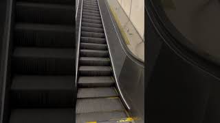 Montreal Metro Escalators VS Stairs PLAMONDON STATION Thang cuốn VS Th bộ August 222024 [upl. by Selohcin25]