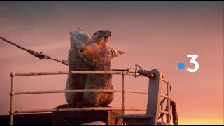 France 3 Marmots Idents 2018 HD [upl. by Navarro82]