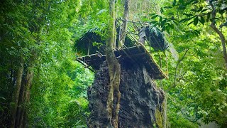 Build a shelter on 15m high pyramidal rock Complete the roof and set traps for wild chickens  P2 [upl. by Weeks666]