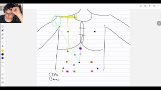 los puntos doloros del abdomen su localizacion y patologias [upl. by Jo]