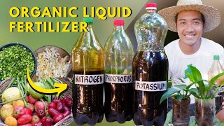 Creating Fermented Complete Organic Fertilizer  NitrogenPhosphorusPotassium  Super Easy [upl. by Jr130]