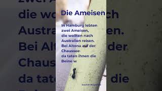 Die Ameisen Ringelnatz daf gedicht [upl. by Langsdon]