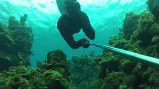 Snorkeling at Secrets Wild Orchid Resort in Montego Bay Jamaica [upl. by Esilana]