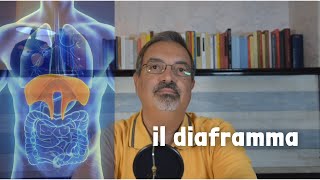 3 RILASSAMENTO e RESPIRAZIONE  il lavoro del DIAFRAMMA [upl. by Ronald]