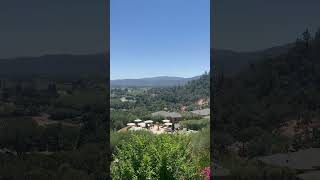 Scenic views of Auberge du soleil youtubeshorts scenicviews nature viral [upl. by Silohcin]