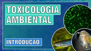 TOXICOLOGIA AMBIENTAL  AULA 1  CONCEITOS BÁSICOS [upl. by Tirma]