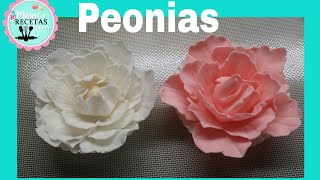 Como hacer Peonia de fondant y pasta de azucarpasta de goma [upl. by Comras]