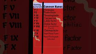 Clotting factors in Hemostasis hemostasis blood clotting clottingfactors hematology [upl. by Rusell]