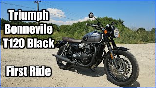 2024 Triumph Bonneville T120  First Ride [upl. by Nnylharas669]