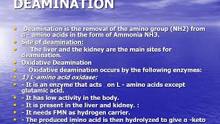 Transamination amp Deamination Biochemistry Lecture [upl. by Odlabu]