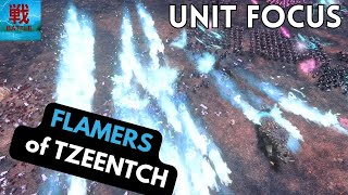 Flamers of Tzeentch All Types  Unit Focus [upl. by Landry]