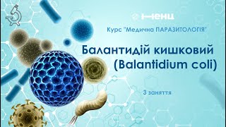 Балантидій кишковий Balantidium coli [upl. by Dorcia]