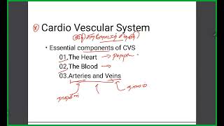 Hypertensive Medicines Pharmacology [upl. by Waynant]