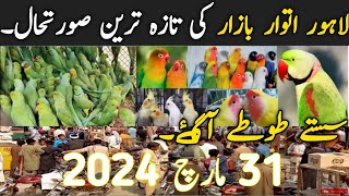 Lahore Sunday Birds Market Latest Price Update  Parrots Information Channel March 31 2024 [upl. by Fagin587]