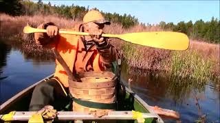 Trappers Trail amp TalesBack at the gameMuskrat harvesting [upl. by Jelsma]