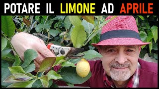 POTARE IL LIMONE [upl. by Akers255]