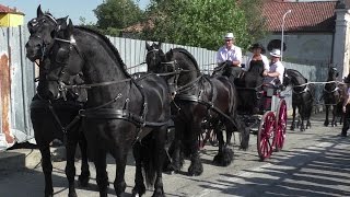 Cavalli e carrozze in sfilata a San Bernardo Ivrea 2016 [upl. by Nairod718]