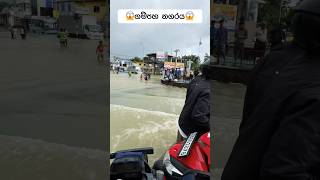 ගංවතුරට යටවුන ගම්පහ😱 Gampaha under floodedfloodingfloodthemefloodand travel viralvideomrgaya [upl. by Fanning]