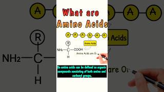 what are Amino Acids aminoacid aminoacids12 proteinstructure chemistry shortvideo shorts [upl. by Eelnodnarb]