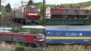 ゴールデンウィークの東北本線コンテナ貨物列車 12本 Tohoku main line Freight Train [upl. by Asilram]