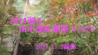 河口湖・山中湖紅葉祭り2023119 [upl. by Potash]