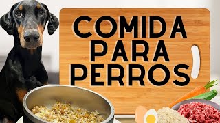 COMIDA PARA PERROS  RECETA CON CARNE MOLIDA  FACIL NUTRITIVA [upl. by Resaec712]