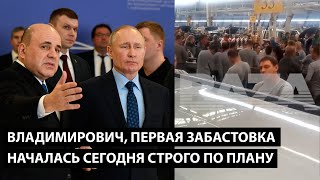 Владимирович первая забастовка началась строго по графику ВСЕ ИДЕТ КАК ОБЫЧНО ПО ПЛАНУ [upl. by Ashok746]