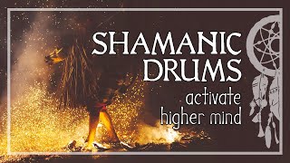 SHAMANIC JOURNEY • Activate Your Higher Mind • Shaman Drums • Trance and Meditation [upl. by Nyahs]