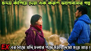 যে ভালোবাসার গল্পে কাঁদবেন আপনিও  Us and Them 2018 Chinese Love Story Movie Explain in Bangla [upl. by Tnert378]