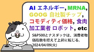 米国株への影響が考えられるニュースヘッドラインを聞き流し【20240409】 [upl. by Oira]