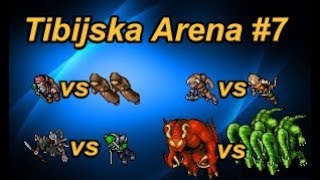 Tibijska Arena 7  Zabójcze kolce  demon vs hydry archer vs scout [upl. by Srevart494]