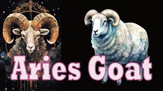 Aries Goat Discussion [upl. by Orgel]