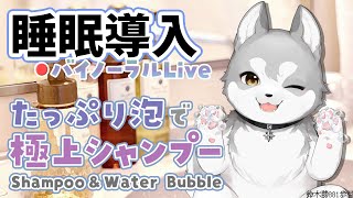 【Binauralダミーヘッドマイク】本気で眠りたい人のための爽やか泡シャンプー 20231220【にじさんじ鈴木勝】 [upl. by Nawuj432]