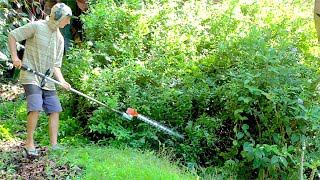 Using a Gas Powered Hedge Trimmer [upl. by Oiligriv]