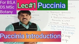 Introduction to puccinia [upl. by Treiber]