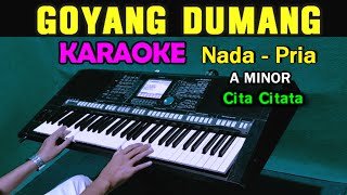 GOYANG DUMANG  Cita Citata  KARAOKE Nada Pria [upl. by Ronym]