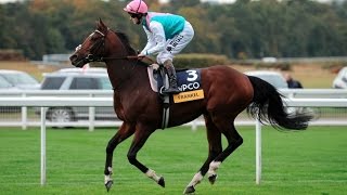 Frankel  The Wonder Horse All 14 Wins [upl. by Rodoeht]