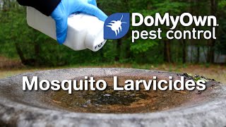 Benefits of Mosquito Larvicides  DoMyOwncom [upl. by Philbrook345]