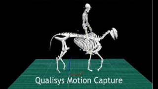 Qualisys Motion Capture of a Horse and rider [upl. by Mercier]