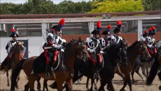 Caricat  4° rgt Carabinieri a cavallo [upl. by Arvonio628]