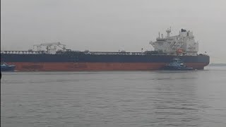 Front Savannah HK 🇭🇰  Oil Tankers  Calshot  The Ship Spot [upl. by Neelyahs]