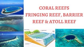 Types of Coral Reefs  FringingShore Reef Barrier Reef amp Atoll Reef [upl. by Nakashima672]