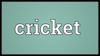 Cricket Meaning [upl. by Jone]