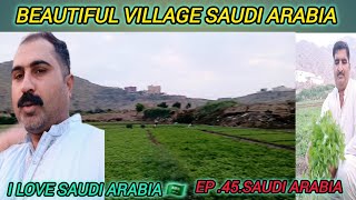 beautiful village Saudi Arabia Taif City I love Saudi Arabia 🇸🇦 ❤️ [upl. by Filippo]