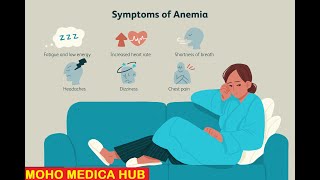 How to report Peripheral blood smearfilm  Anemia  PS Hindi  MoHo [upl. by Cotter]