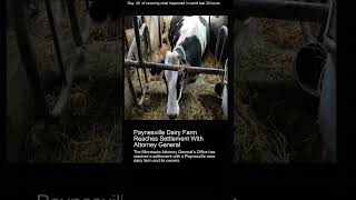 Paynesville Dairy Farm Reaches Settlement With Attorney General [upl. by Shreeves327]