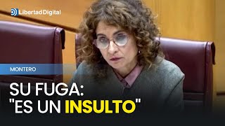 Tensión en el Senado tras la fuga de Montero quotEs un insultoquot [upl. by Ecile]