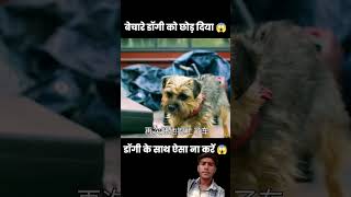 dog puppy feelings humanity savethedog doglife loyalty exploremore ytdaily yt doglover [upl. by Zabrine233]